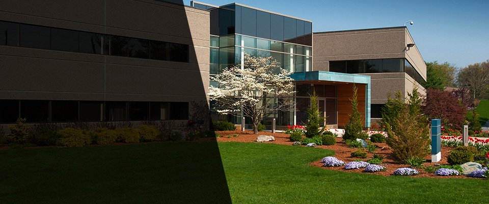 Campobello Landscapers