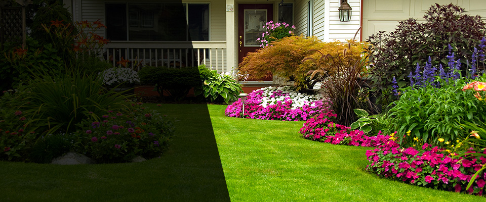 Campobello Landscapers