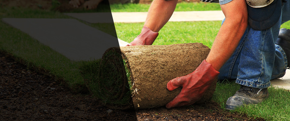 Campobello Landscapers
